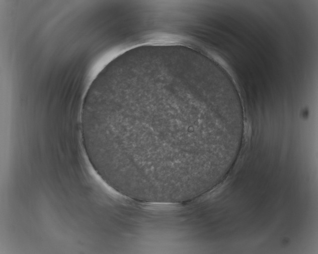 X0000116771487201001071206