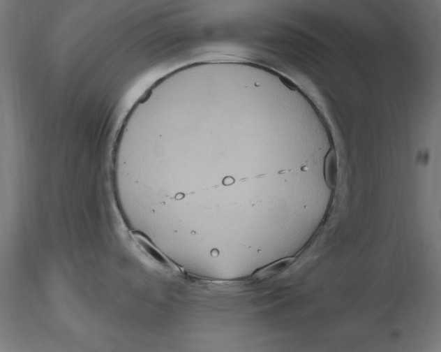 X0000116771488201001071206