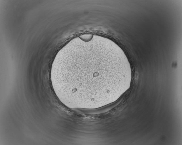 X0000116771489201001071205