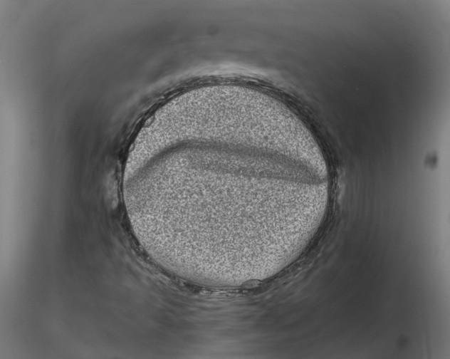 X0000116771493201001071205