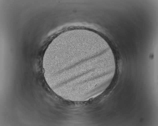 X0000116771494201001071205