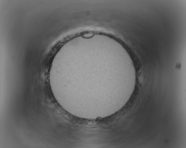 X0000116771495201001071205