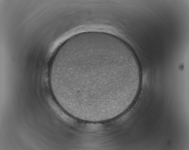 X0000116771498201001071205