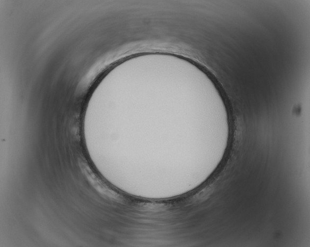 X0000116771499201001071205