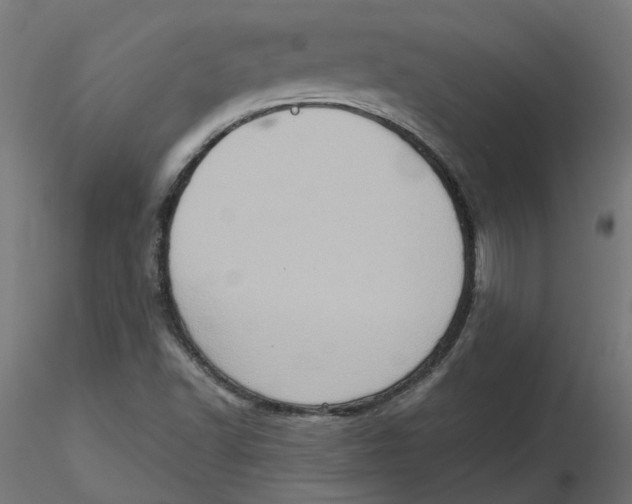 X0000116771502201001071205