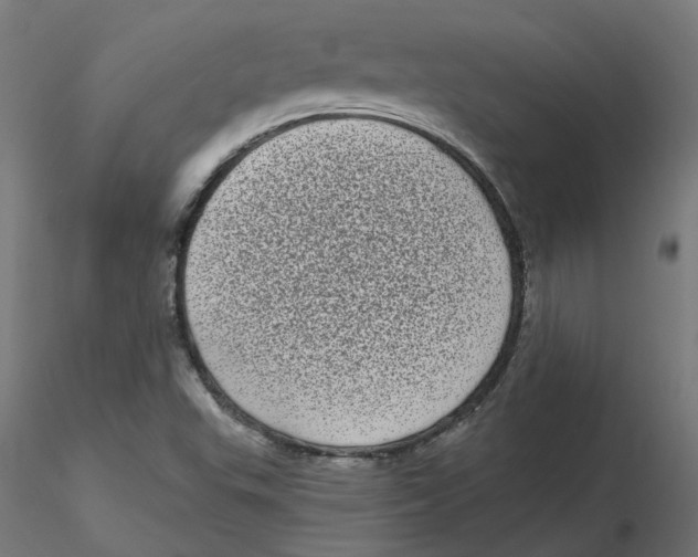 X0000116771503201001071205