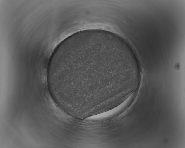 X0000116771505201001071205