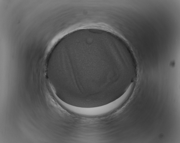 X0000116771506201001071205