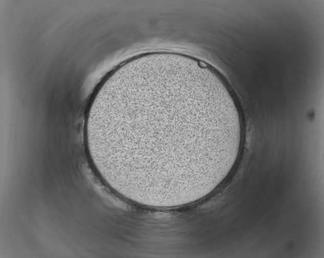 X0000116771507201001071205