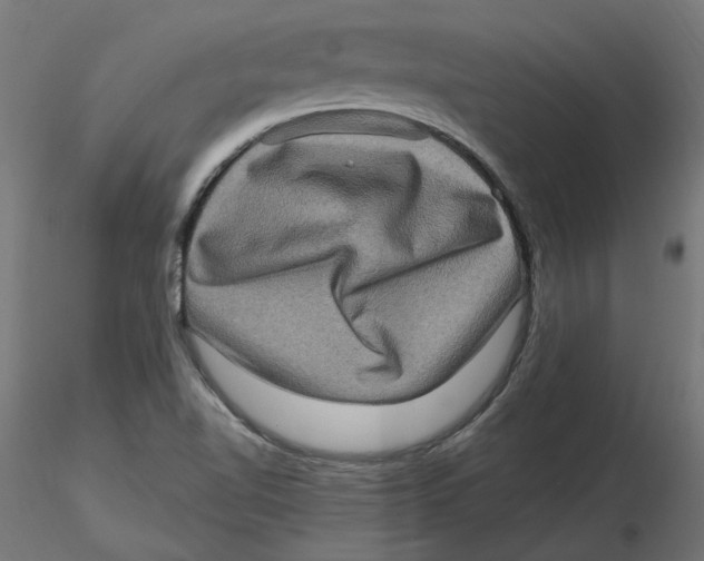 X0000116771510201001071205