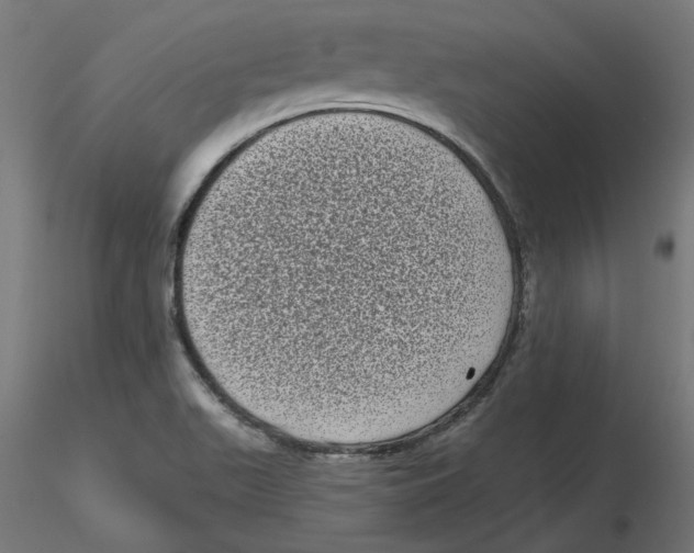 X0000116771511201001071205