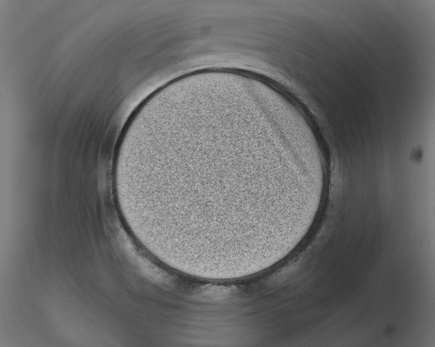 X0000116771513201001071205