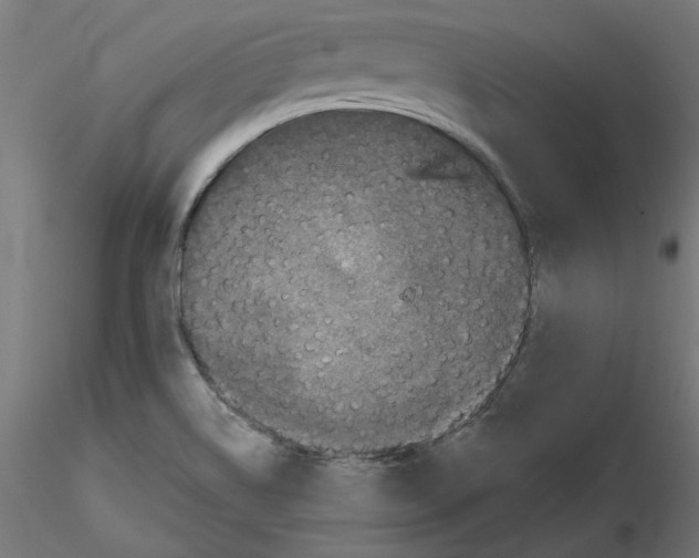 X0000116771514201001071205