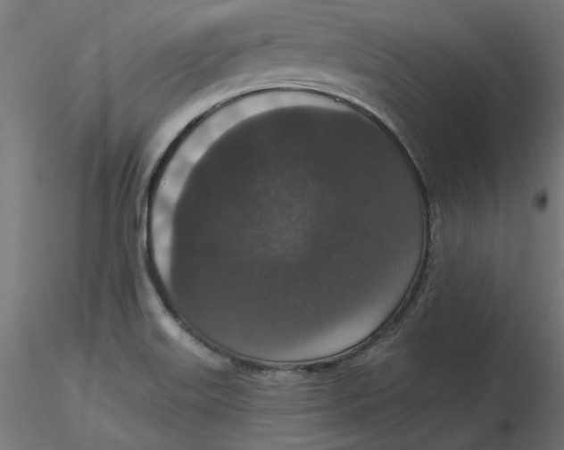 X0000116771515201001071205