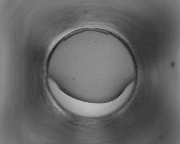 X0000116771517201001071205