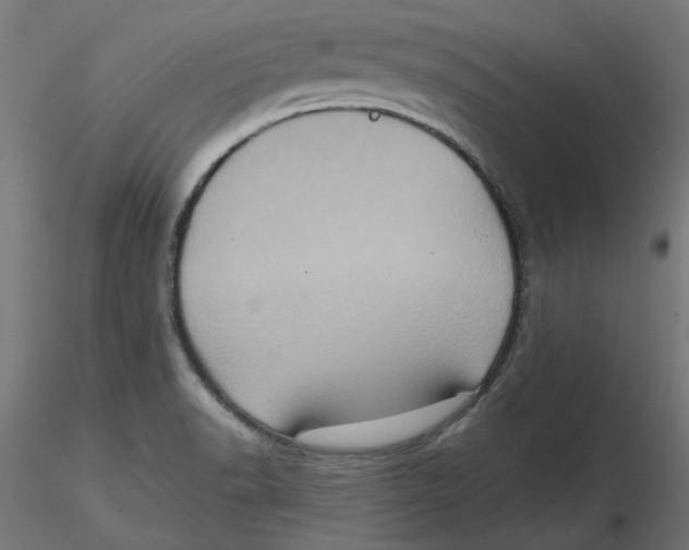 X0000116771518201001071205