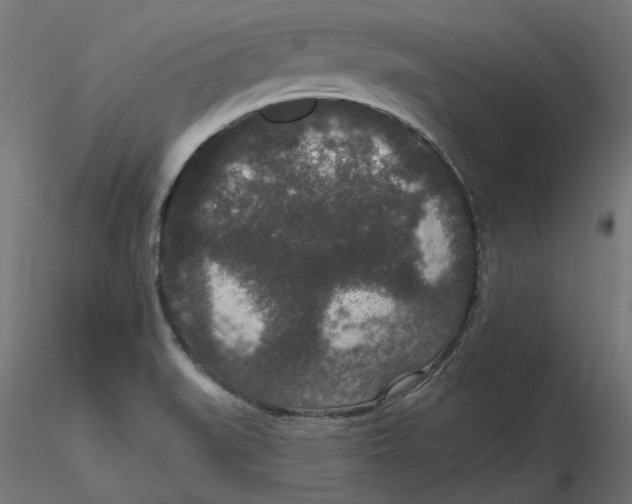 X0000116771519201001071205