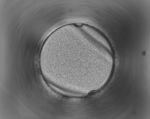 X0000116771521201001071205