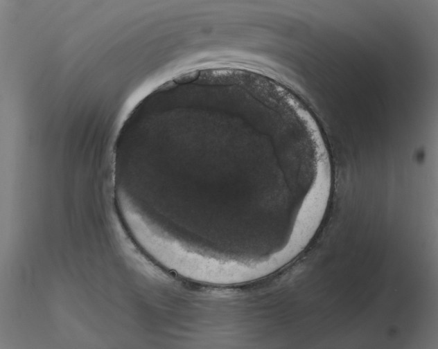 X0000116771522201001071205