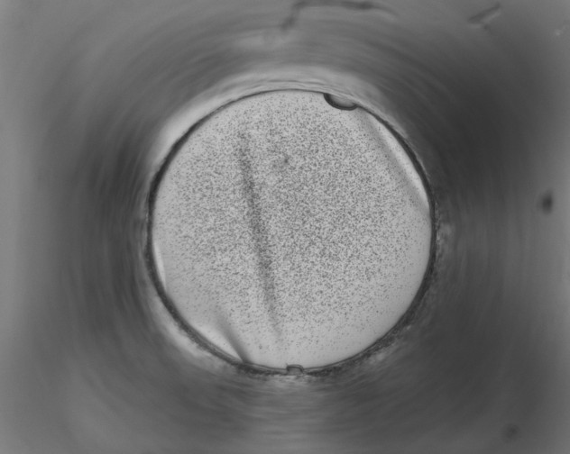 X0000116771523201001071205