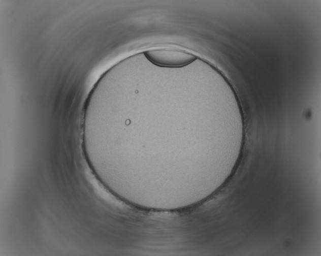 X0000116771526201001071205