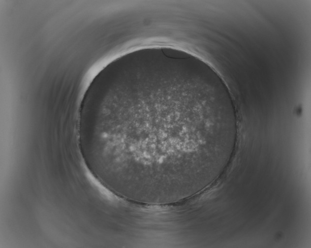 X0000116771527201001071205