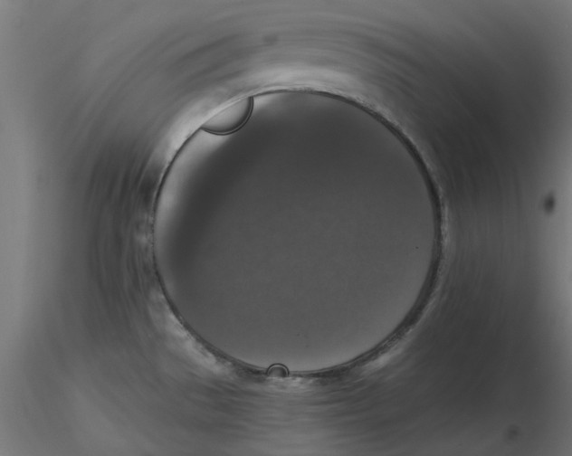 X0000116771529201001071205