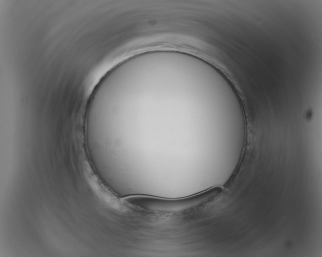 X0000116771530201001071205