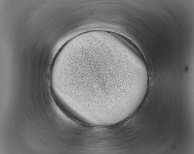 X0000116771531201001071205