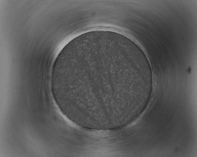 X0000116771533201001071205