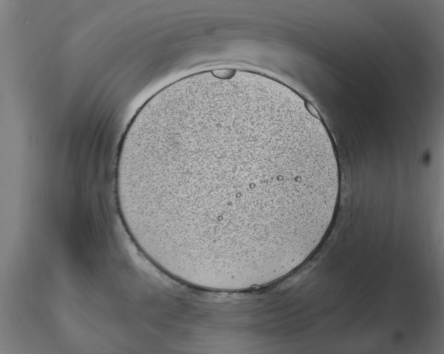 X0000116771534201001071205