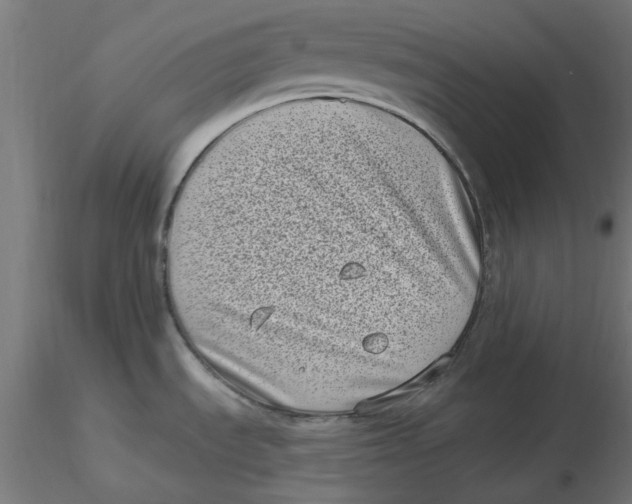 X0000116771535201001071206