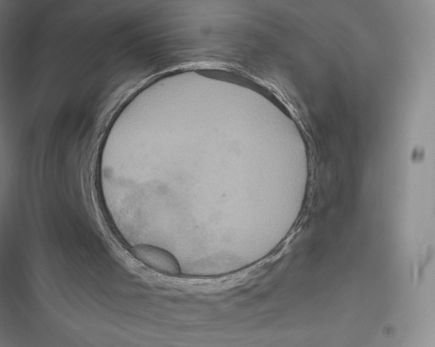X0000116770001201001141500