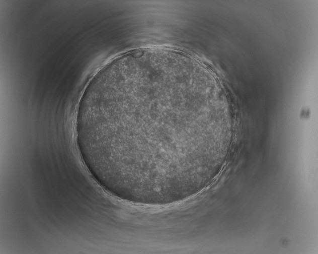 X0000116770002201001141500