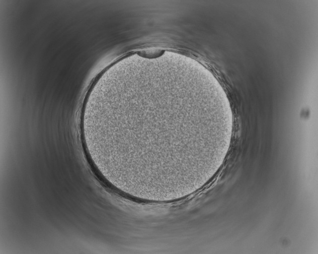 X0000116770004201001141500
