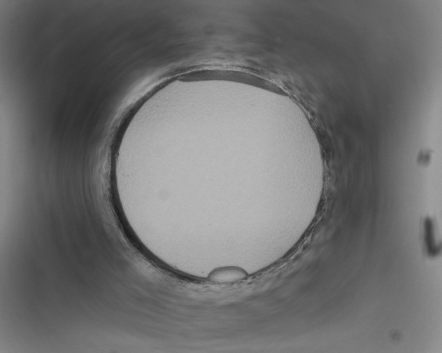 X0000116770005201001141500