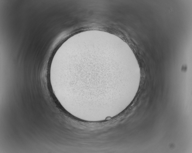 X0000116770006201001141500