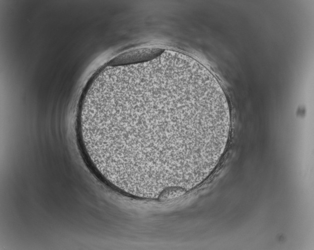 X0000116770007201001141500