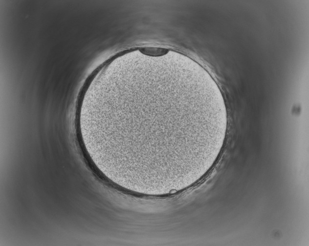 X0000116770008201001141500