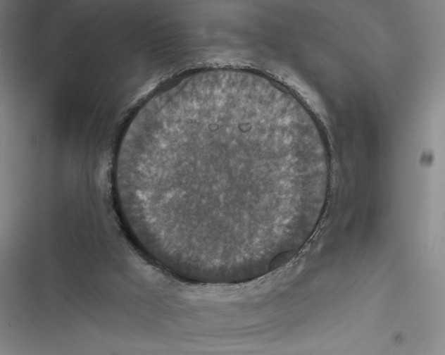 X0000116770009201001141500