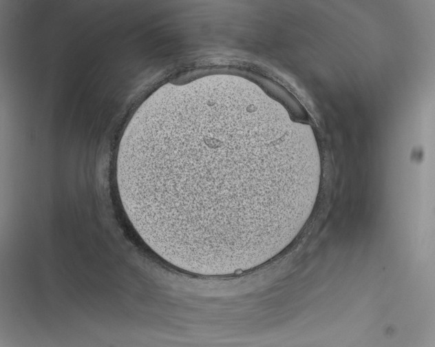 X0000116770010201001141500