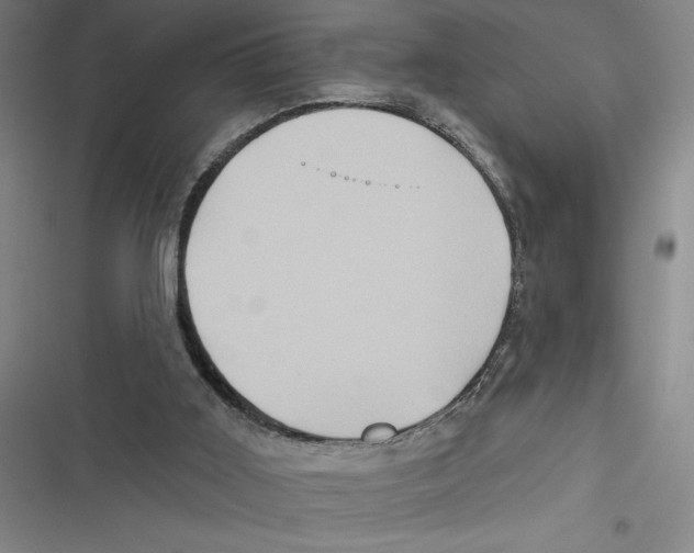 X0000116770011201001141500