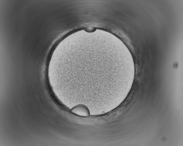 X0000116770012201001141500