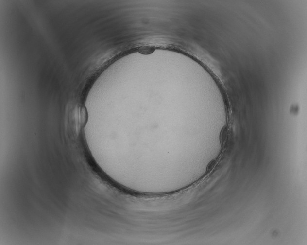 X0000116770013201001141500