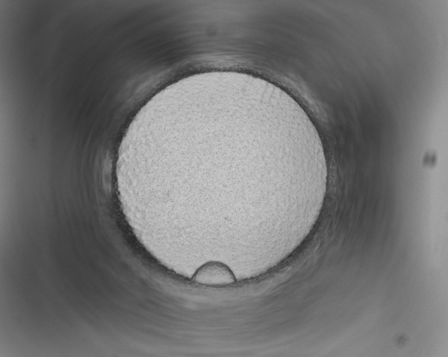 X0000116770014201001141500