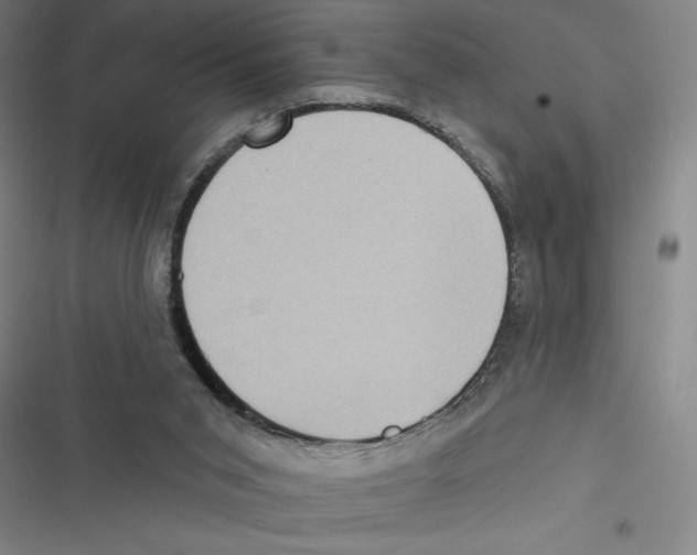 X0000116770015201001141500