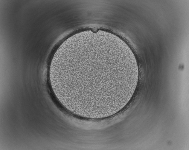 X0000116770016201001141500