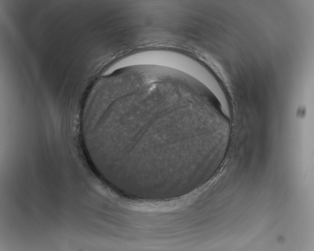 X0000116770017201001141500