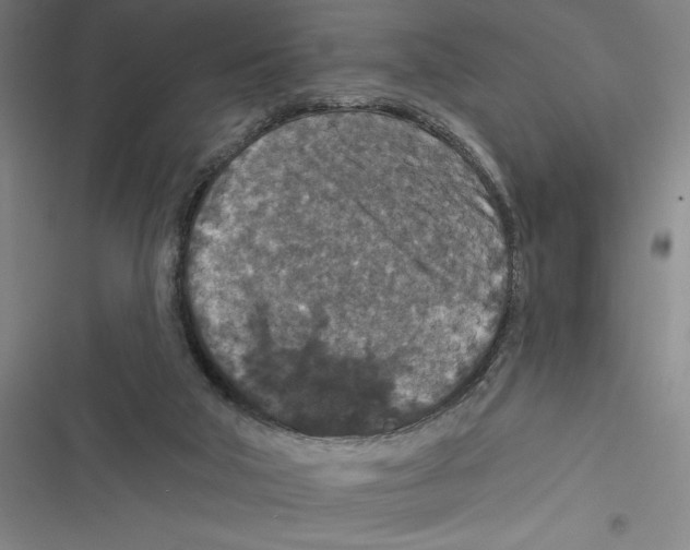 X0000116770018201001141500