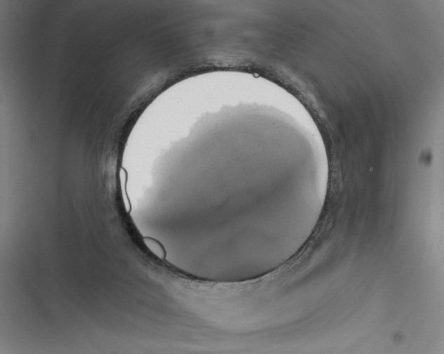 X0000116770019201001141500